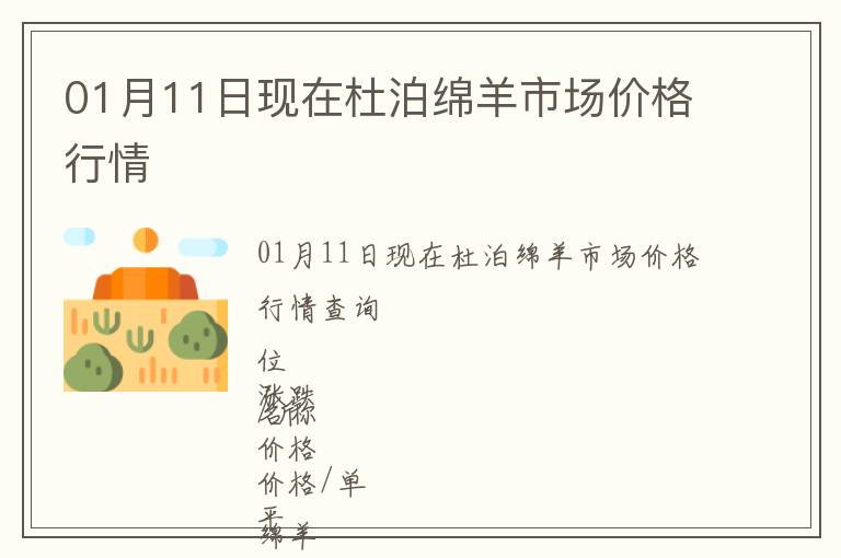 01月11日現在杜泊綿羊市場價格行情