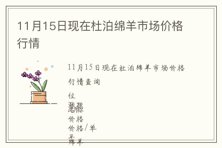 11月15日現在杜泊綿羊市場價格行情