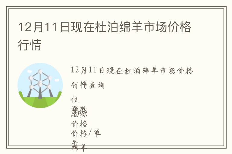 12月11日現在杜泊綿羊市場價格行情