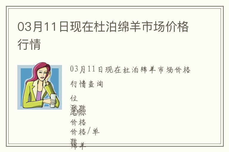 03月11日現在杜泊綿羊市場價格行情