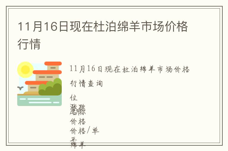 11月16日現在杜泊綿羊市場價格行情