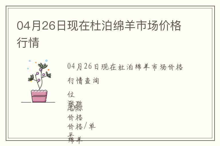 04月26日現在杜泊綿羊市場價格行情