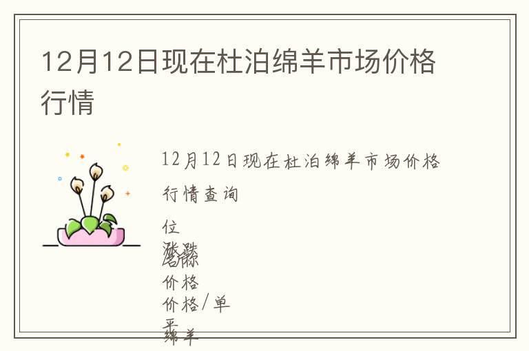 12月12日現在杜泊綿羊市場價格行情