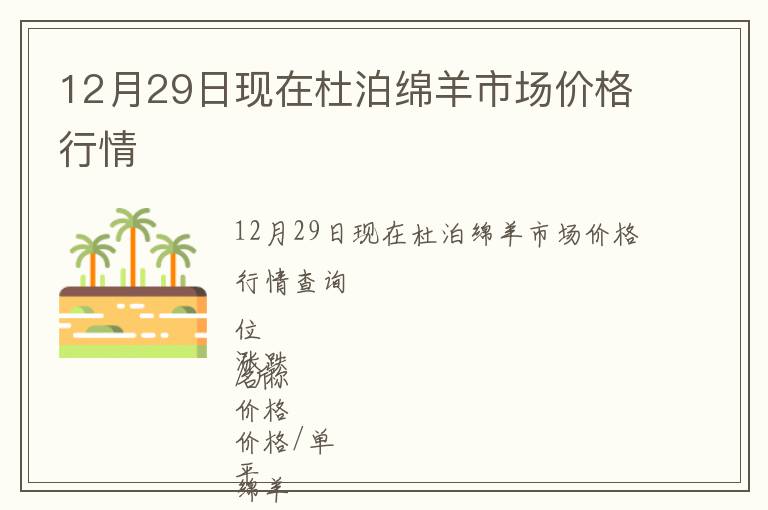 12月29日現在杜泊綿羊市場價格行情