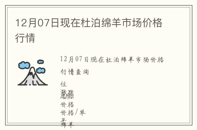 12月07日現在杜泊綿羊市場價格行情