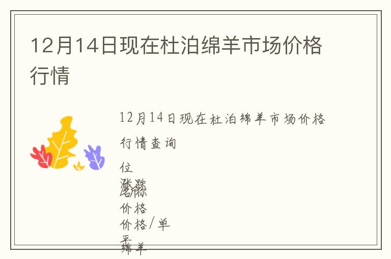 12月14日現在杜泊綿羊市場價格行情