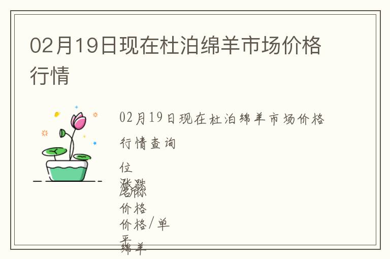 02月19日現在杜泊綿羊市場價格行情