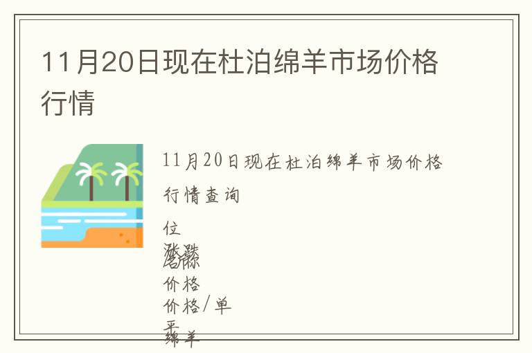 11月20日現在杜泊綿羊市場價格行情