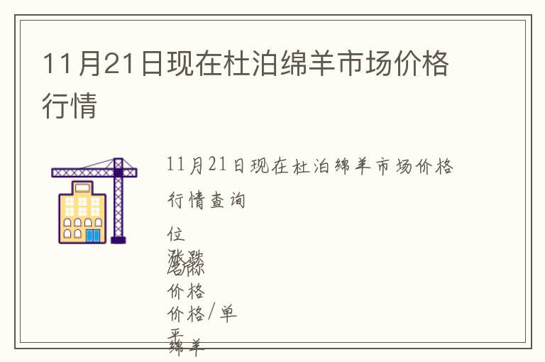 11月21日現在杜泊綿羊市場價格行情