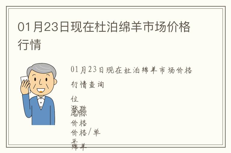 01月23日現在杜泊綿羊市場價格行情