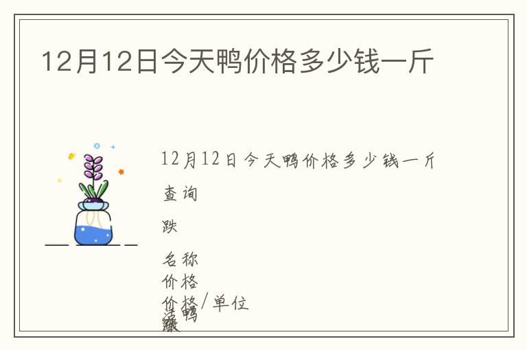 12月12日今天鴨價格多少錢一斤