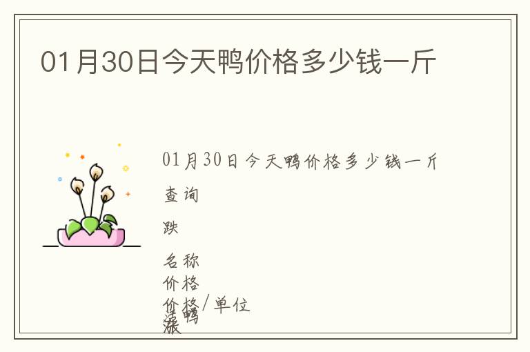 01月30日今天鴨價格多少錢一斤