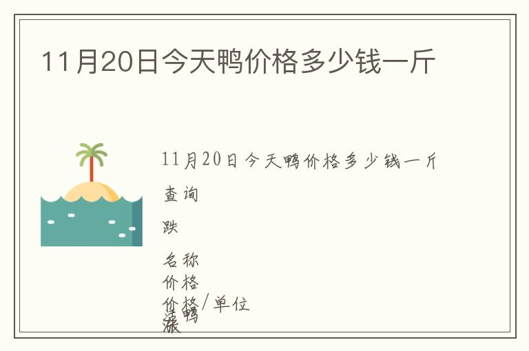 11月20日今天鴨價格多少錢一斤