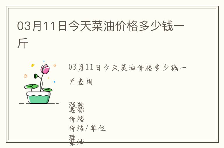 03月11日今天菜油價格多少錢一斤