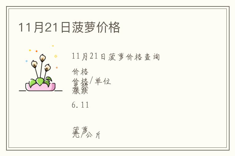 11月21日菠蘿價格