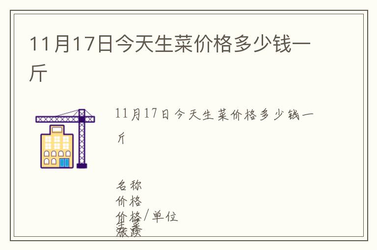 11月17日今天生菜價格多少錢一斤