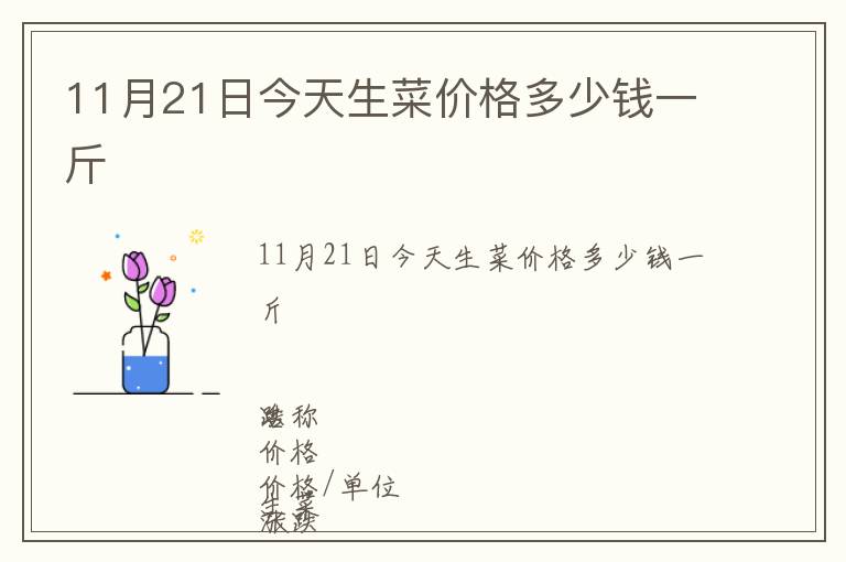 11月21日今天生菜價格多少錢一斤