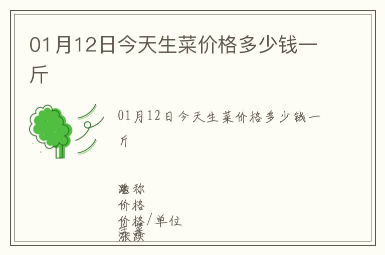 01月12日今天生菜價格多少錢一斤