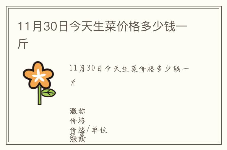 11月30日今天生菜價格多少錢一斤