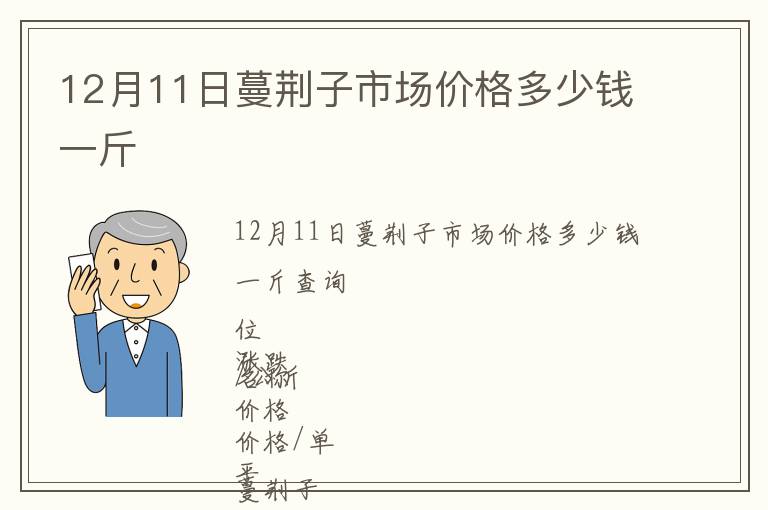 12月11日蔓荊子市場價格多少錢一斤