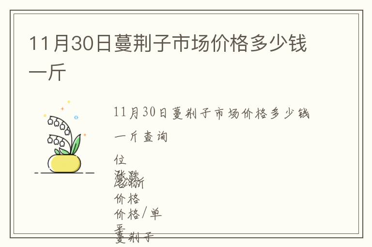 11月30日蔓荊子市場價格多少錢一斤