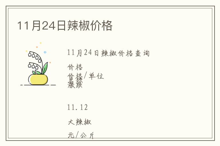 11月24日辣椒價格