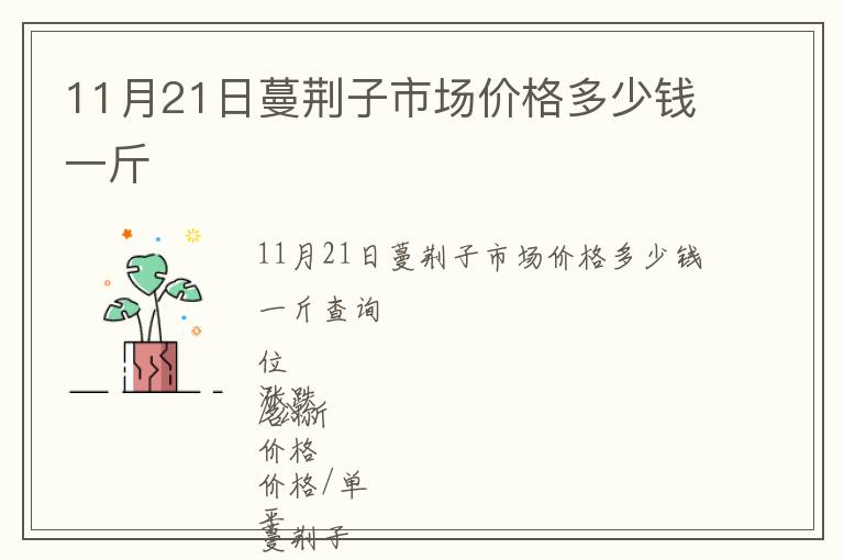 11月21日蔓荊子市場價格多少錢一斤