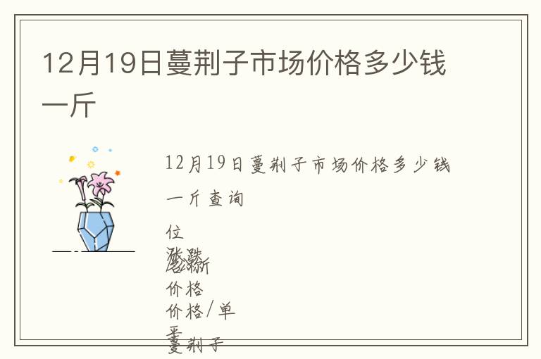 12月19日蔓荊子市場價格多少錢一斤