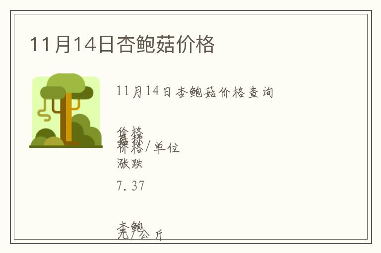 11月14日杏鮑菇價格