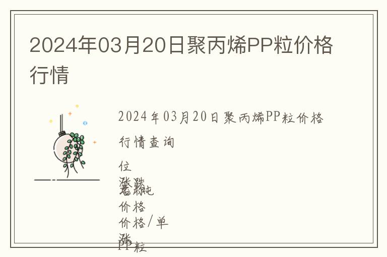 2024年03月20日聚丙烯PP粒價格行情