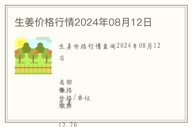 生姜價格行情2024年08月12日