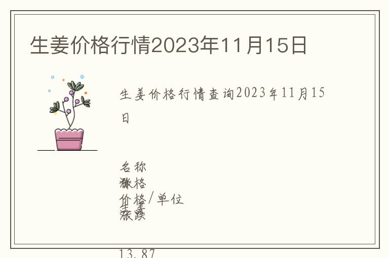 生姜價格行情2023年11月15日