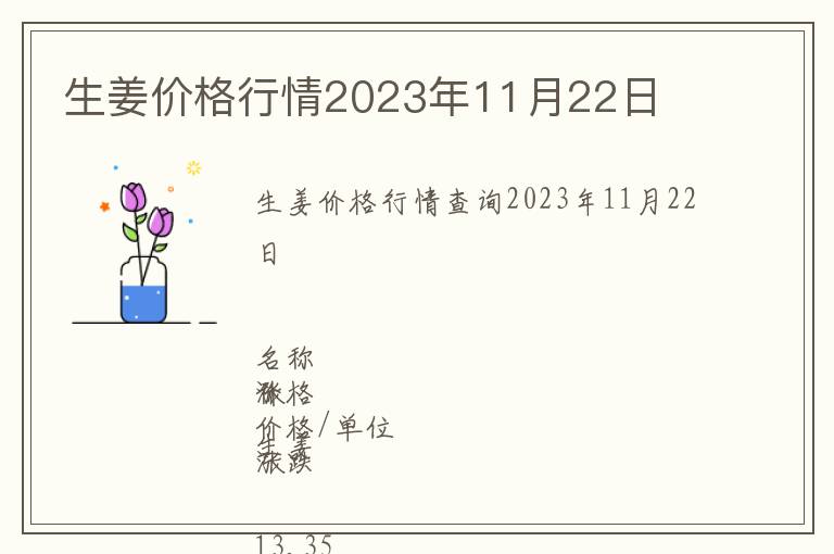 生姜價格行情2023年11月22日