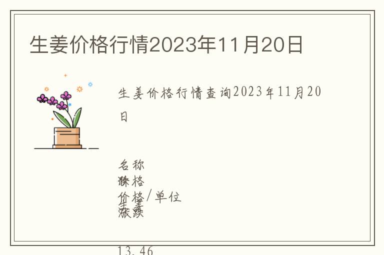 生姜價格行情2023年11月20日