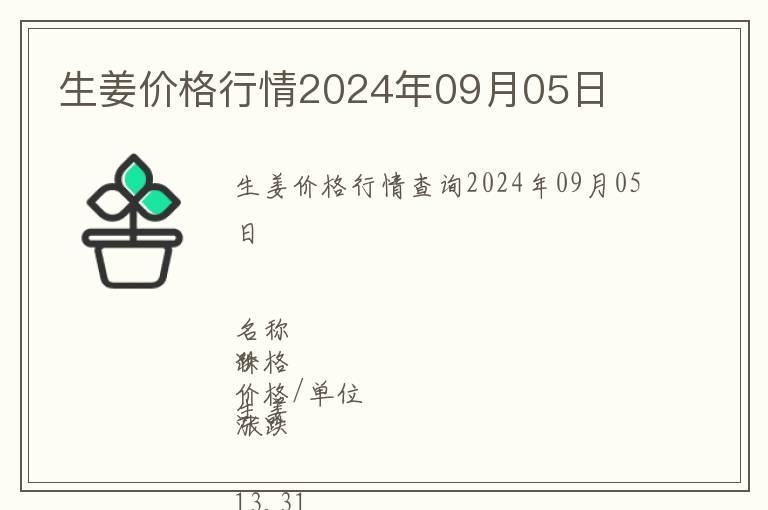 生姜價格行情2024年09月05日