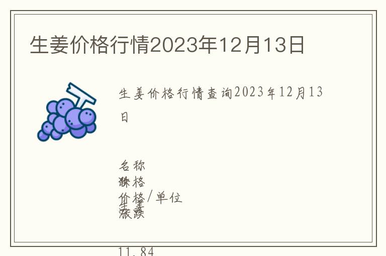 生姜價格行情2023年12月13日