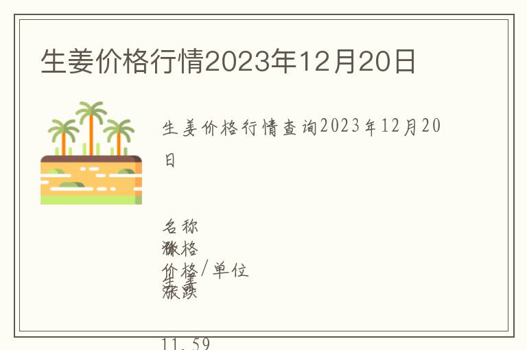 生姜價格行情2023年12月20日