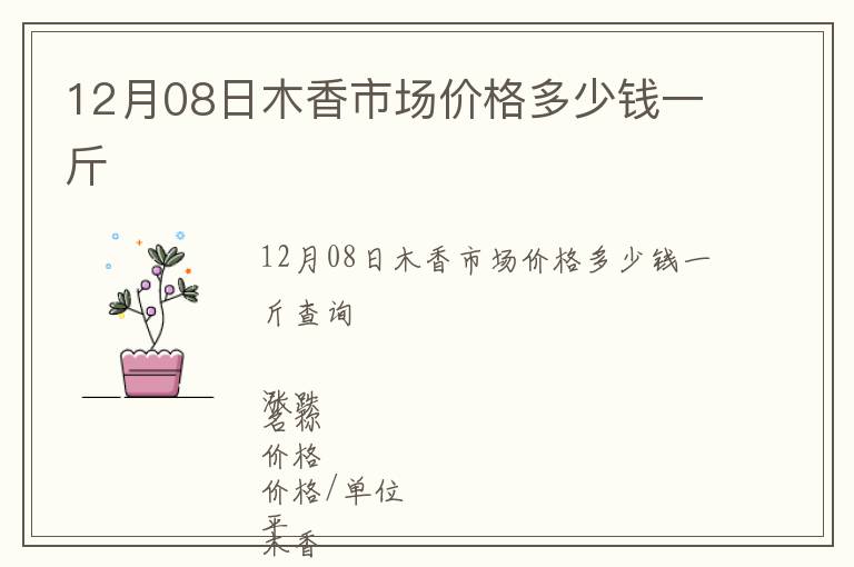 12月08日木香市場價格多少錢一斤