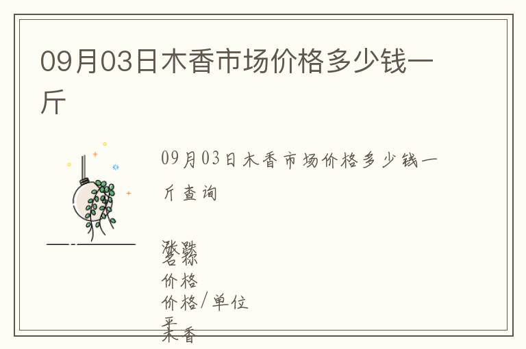 09月03日木香市場價格多少錢一斤