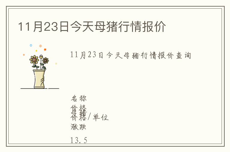 11月23日今天母豬行情報價