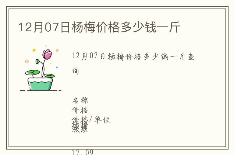 12月07日楊梅價格多少錢一斤