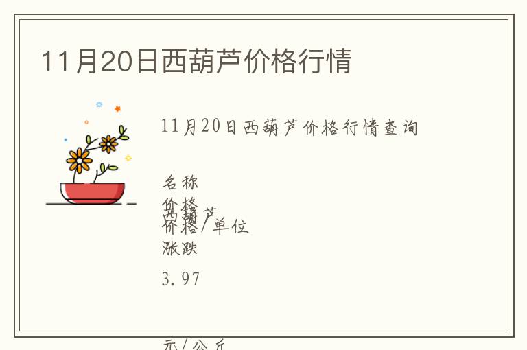 11月20日西葫蘆價格行情