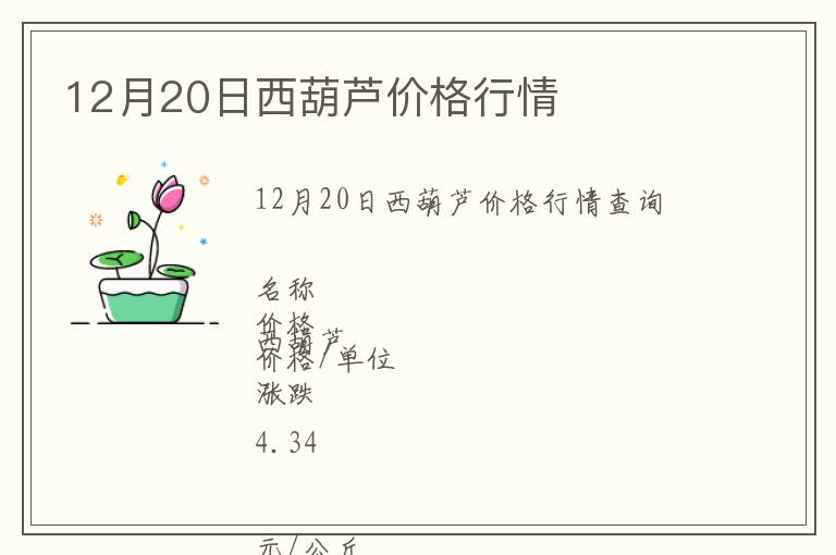 12月20日西葫蘆價格行情