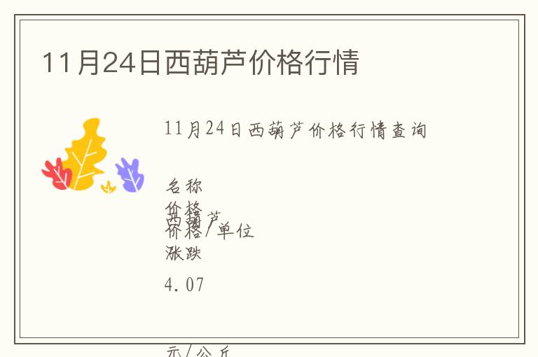 11月24日西葫蘆價格行情