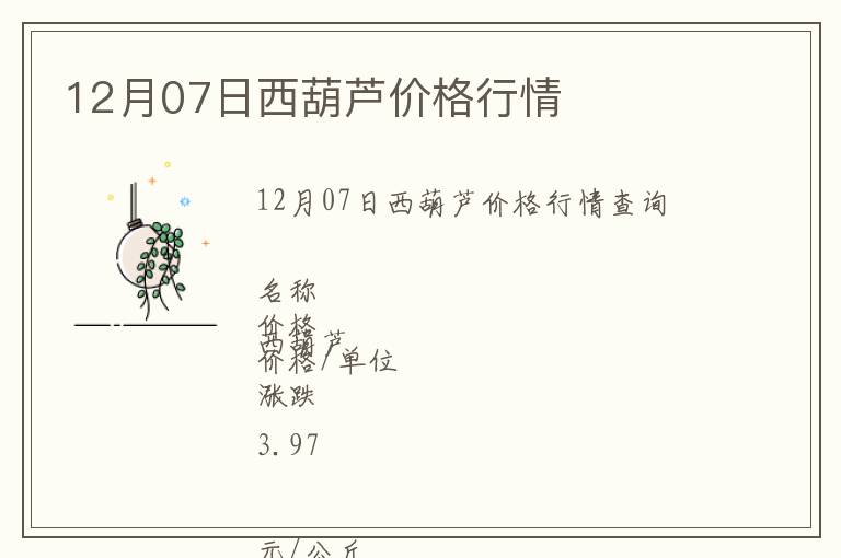 12月07日西葫蘆價格行情