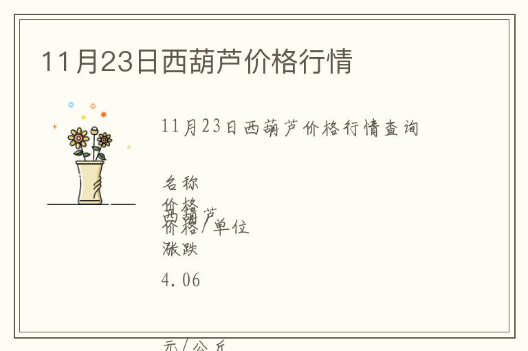 11月23日西葫蘆價格行情