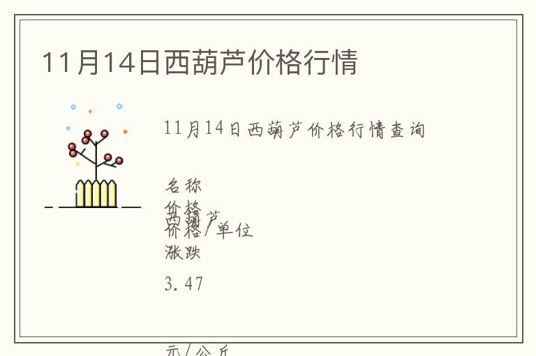 11月14日西葫蘆價格行情