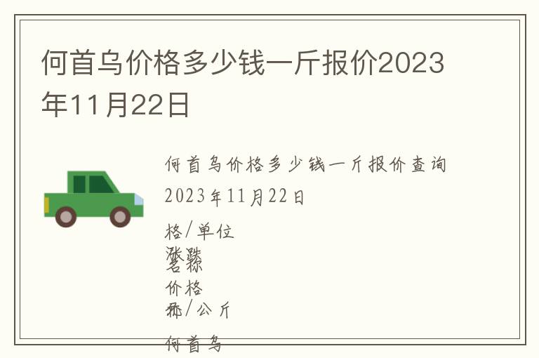 何首烏價格多少錢一斤報價2023年11月22日