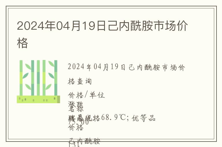 2024年04月19日己內酰胺市場價格