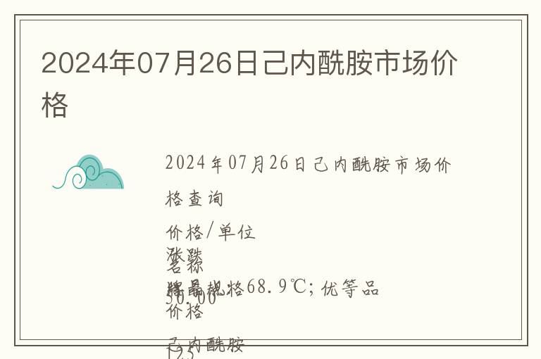 2024年07月26日己內酰胺市場價格